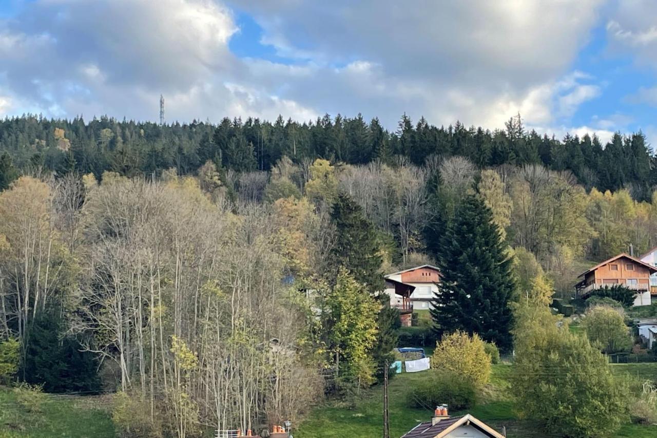 Bright Nest With Mountain View In Gérardmer Eksteriør billede